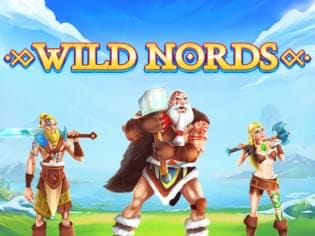 Wild Nords game cover